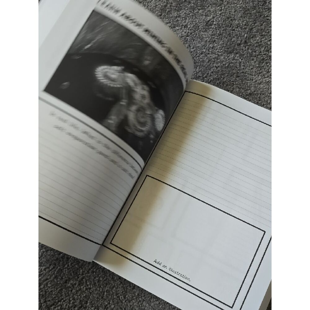Do-It-Yourself Curriculum: Fun-Schooling with Minecraft Ages 9 - 12 ADHD Autism - Picture 8 of 16